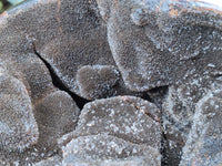 Polished Septerye Sauvage "Dragons Egg" x 1 From Mahajanga, Madagascar