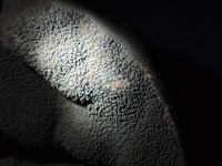 Polished Septerye Sauvage "Dragons Egg" x 1 From Mahajanga, Madagascar