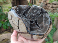 Polished Septerye Sauvage "Dragons Egg" x 1 From Mahajanga, Madagascar