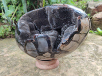 Polished Septerye Sauvage "Dragons Egg" x 1 From Mahajanga, Madagascar