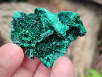 Natural Silky Malachite Specimens x 25 From Kasompe, Congo