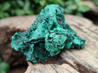 Natural Silky Malachite Specimens x 25 From Kasompe, Congo