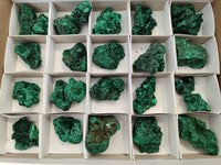 Natural Silky Malachite Specimens x 25 From Kasompe, Congo