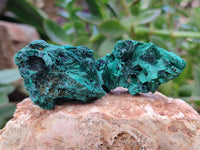 Natural Silky Malachite Specimens x 25 From Kasompe, Congo
