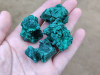 Natural Silky Malachite Specimens x 25 From Kasompe, Congo