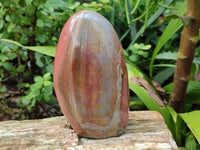 Polished Polychrome Jasper Standing Free Forms x 2 From Northwest Coast, Madagascar