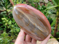 Polished Polychrome Jasper Standing Free Forms x 2 From Northwest Coast, Madagascar