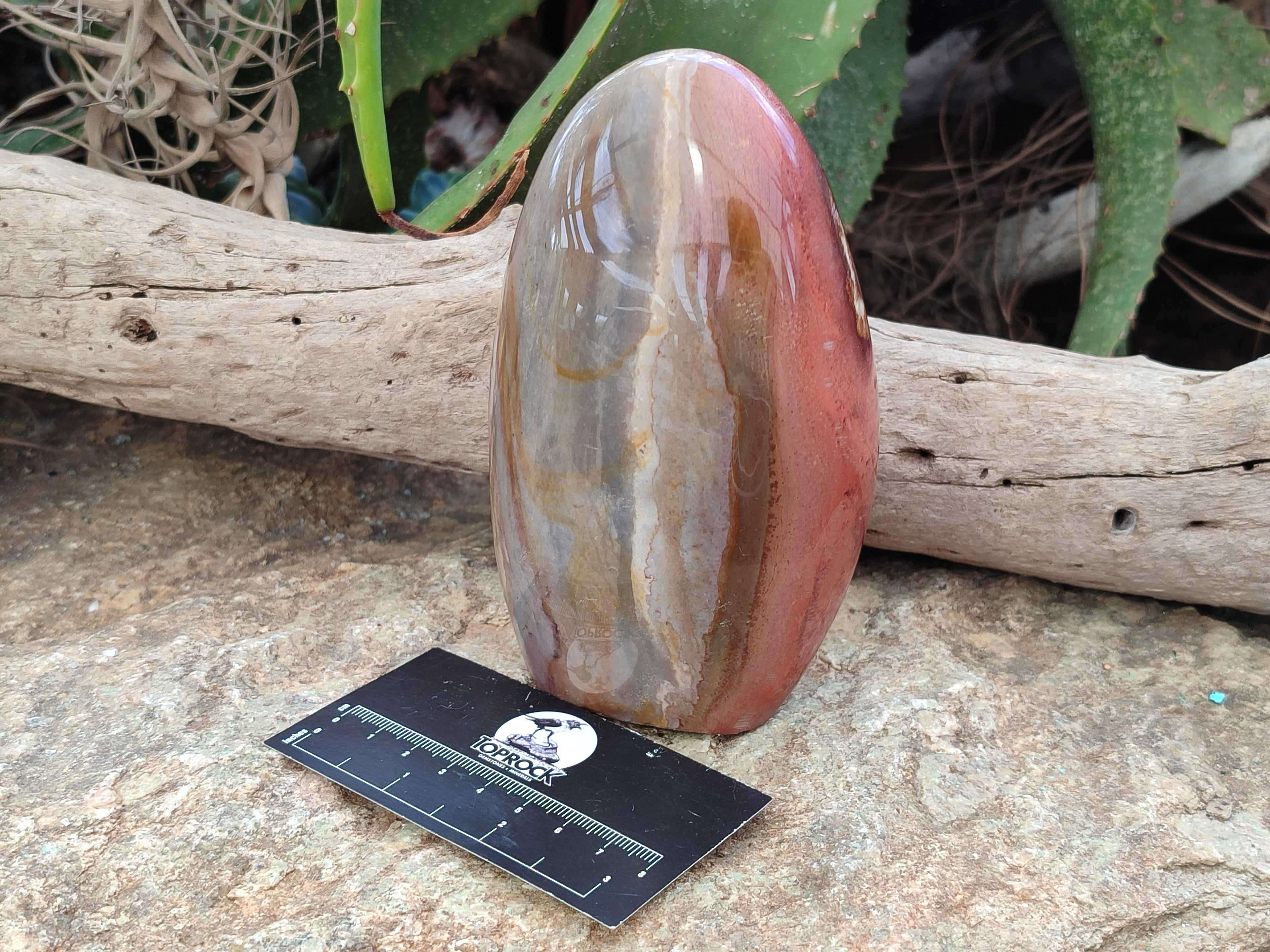 Polished Polychrome Jasper Standing Free Forms x 2 From Northwest Coast, Madagascar - Toprock Gemstones and Minerals 