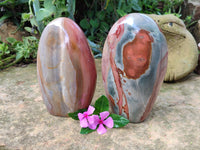 Polished Polychrome Jasper Standing Free Forms x 2 From Northwest Coast, Madagascar