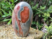 Polished Polychrome Jasper Standing Free Forms x 2 From Northwest Coast, Madagascar