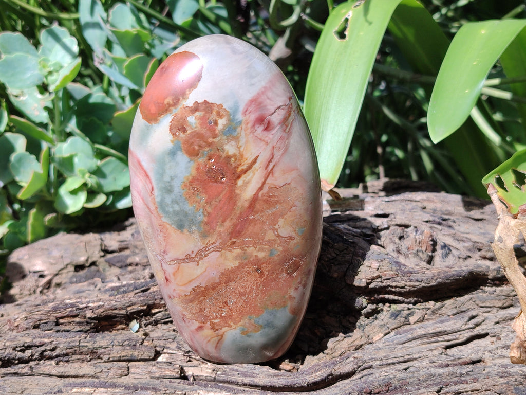 Polished Polychrome Jasper Standing Free Forms x 2 From Northwest Coast, Madagascar - Toprock Gemstones and Minerals 