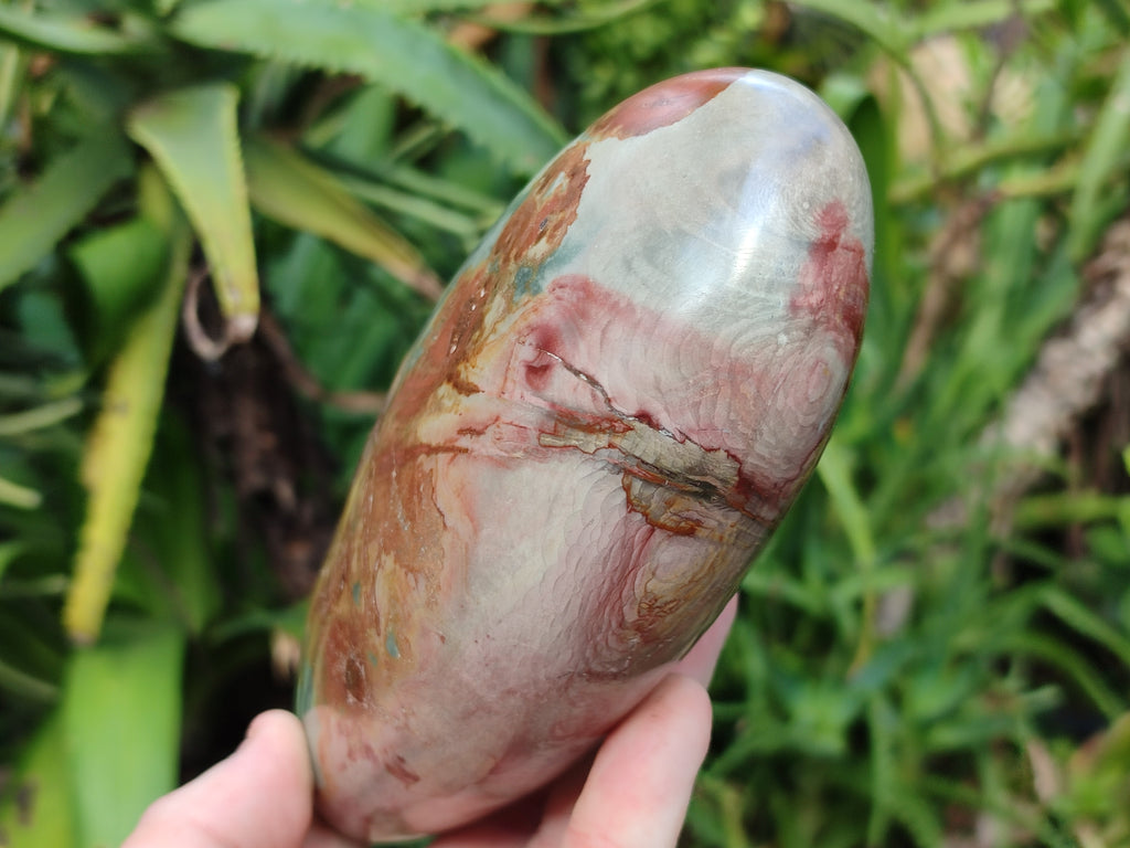 Polished Polychrome Jasper Standing Free Forms x 2 From Northwest Coast, Madagascar - Toprock Gemstones and Minerals 