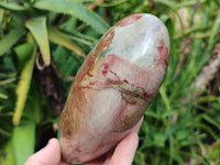 Polished Polychrome Jasper Standing Free Forms x 2 From Northwest Coast, Madagascar