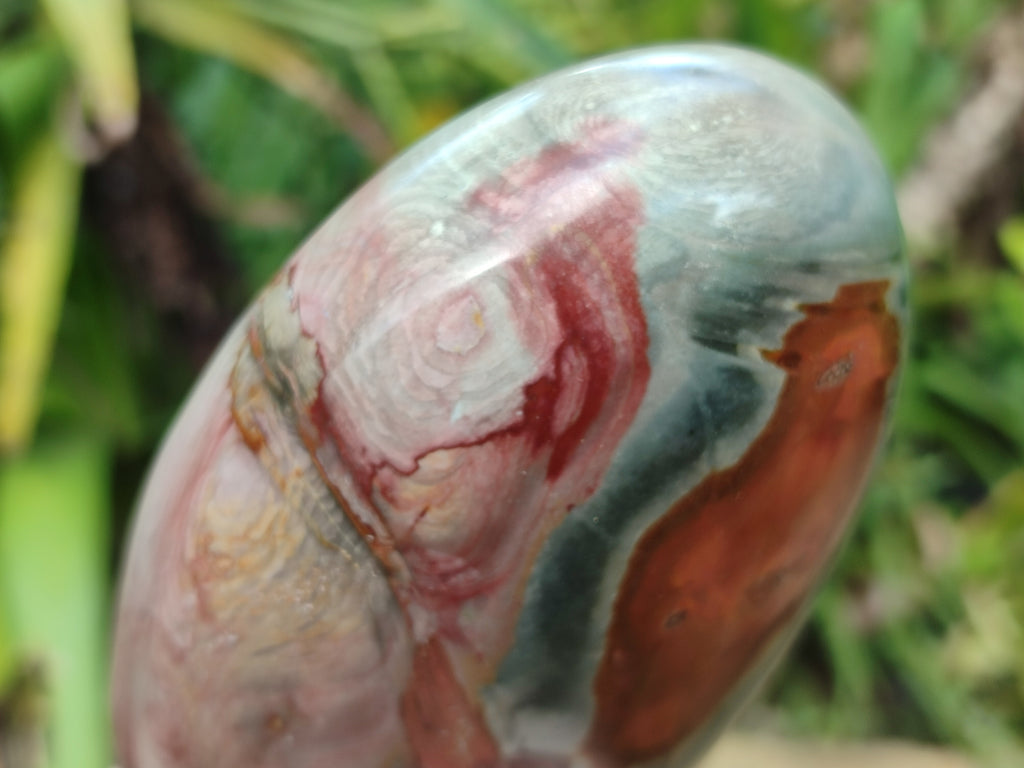 Polished Polychrome Jasper Standing Free Forms x 2 From Northwest Coast, Madagascar - Toprock Gemstones and Minerals 