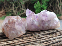 Natural Jacaranda Amethyst Quartz Cluster x 3 From Mumbwa, Zambia
