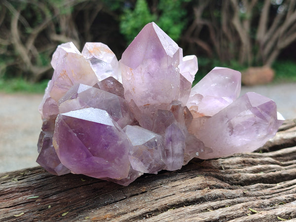 Natural Jacaranda Amethyst Quartz Cluster x 3 From Mumbwa, Zambia