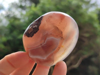 Polished Red Sashe River Agate Free Forms x 12 From Zimbabwe