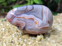 Polished Red Sashe River Agate Free Forms x 12 From Zimbabwe
