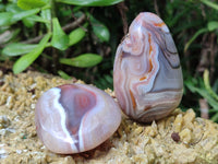 Polished Red Sashe River Agate Free Forms x 12 From Zimbabwe