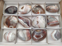 Polished Red Sashe River Agate Free Forms x 12 From Zimbabwe