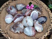 Polished Red Sashe River Agate Free Forms x 12 From Zimbabwe