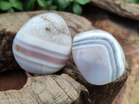 Polished Red Sashe River Agate Free Forms x 12 From Zimbabwe