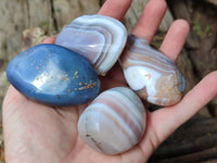 Polished Red Sashe River Agate Free Forms x 12 From Zimbabwe
