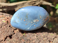 Polished Red Sashe River Agate Free Forms x 12 From Zimbabwe