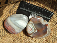 Polished Red Sashe River Agate Free Forms x 12 From Zimbabwe