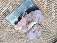 Natural Ametrine Cactus Spirit Quartz Clusters x 12 From South Africa