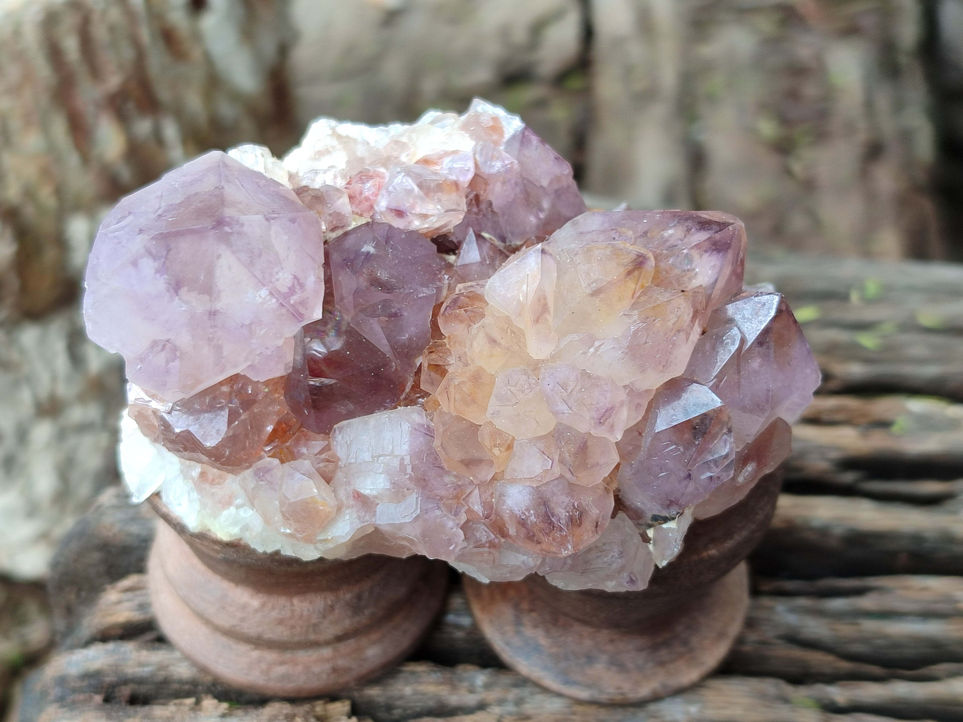 Natural Ametrine Cactus Spirit Quartz Clusters x 12 From South Africa - Toprock Gemstones and Minerals 