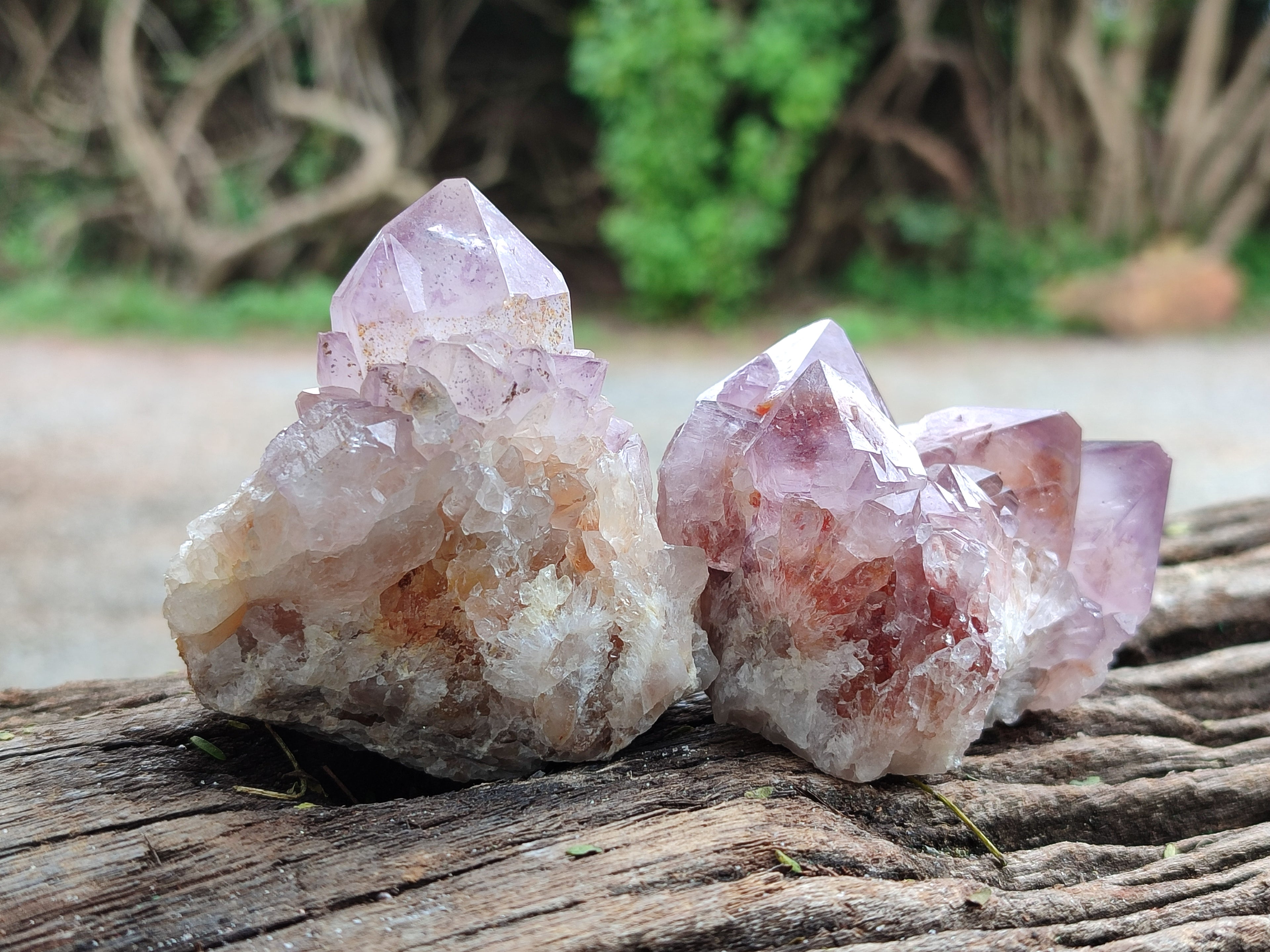 Natural Ametrine Cactus Spirit Quartz Clusters x 12 From South Africa - Toprock Gemstones and Minerals 