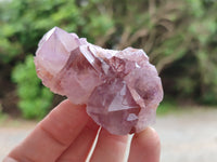 Natural Ametrine Cactus Spirit Quartz Clusters x 12 From South Africa
