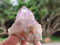 Natural Ametrine Cactus Spirit Quartz Clusters x 12 From South Africa