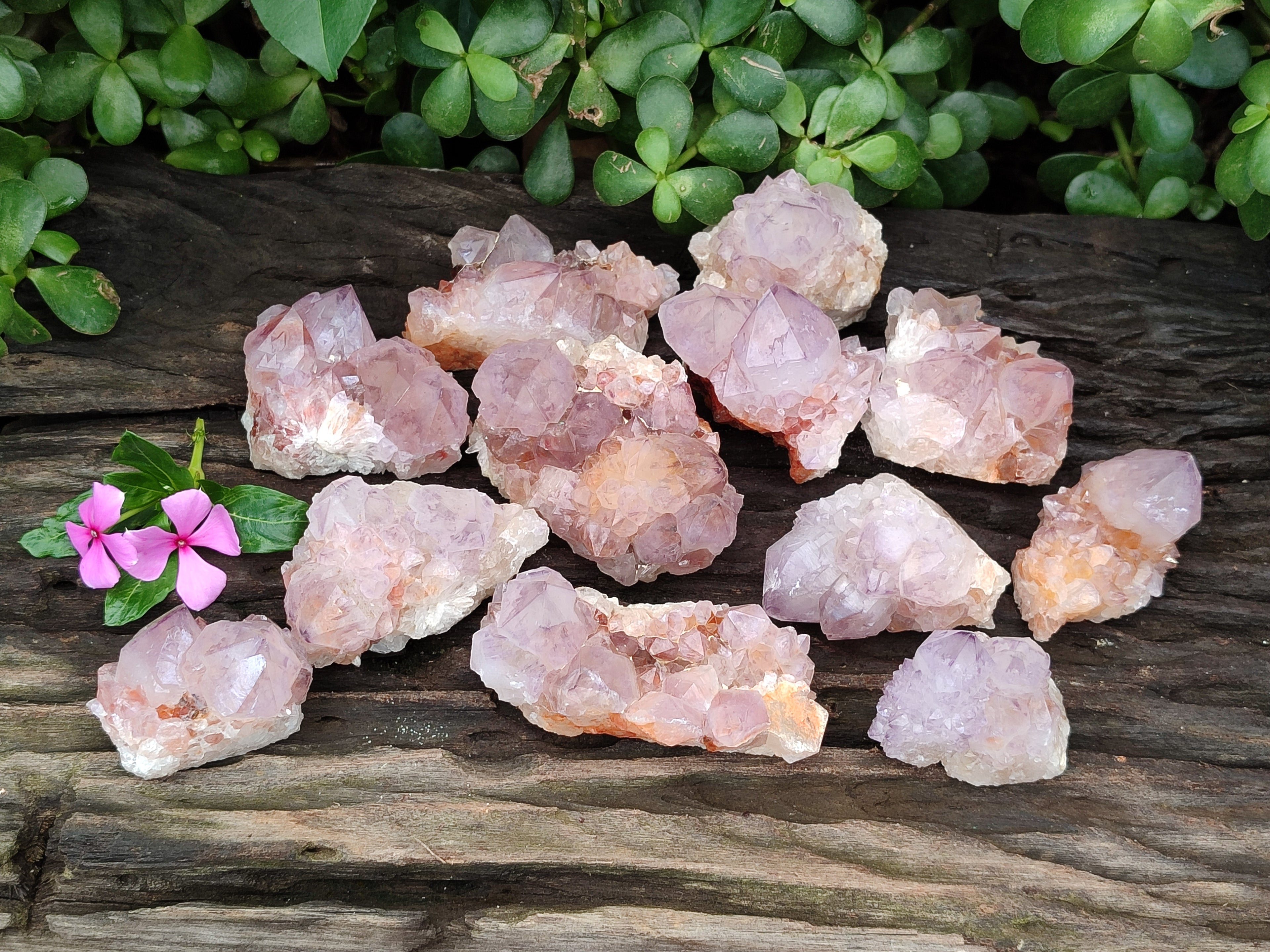 Natural Ametrine Cactus Spirit Quartz Clusters x 12 From South Africa - Toprock Gemstones and Minerals 