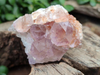 Natural Ametrine Cactus Spirit Quartz Clusters x 12 From South Africa