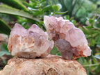 Natural Ametrine Cactus Spirit Quartz Clusters x 12 From South Africa - Toprock Gemstones and Minerals 