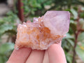 Natural Ametrine Cactus Spirit Quartz Clusters x 12 From South Africa - Toprock Gemstones and Minerals 