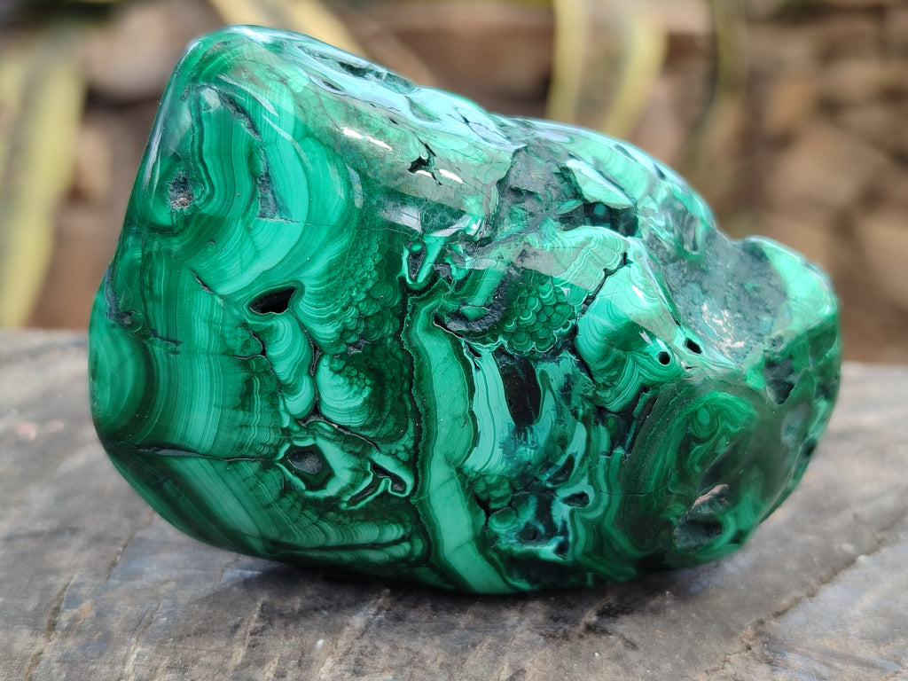 Polished Flower Banded Malachite Free Forms x 6 From Congo - Toprock Gemstones and Minerals 