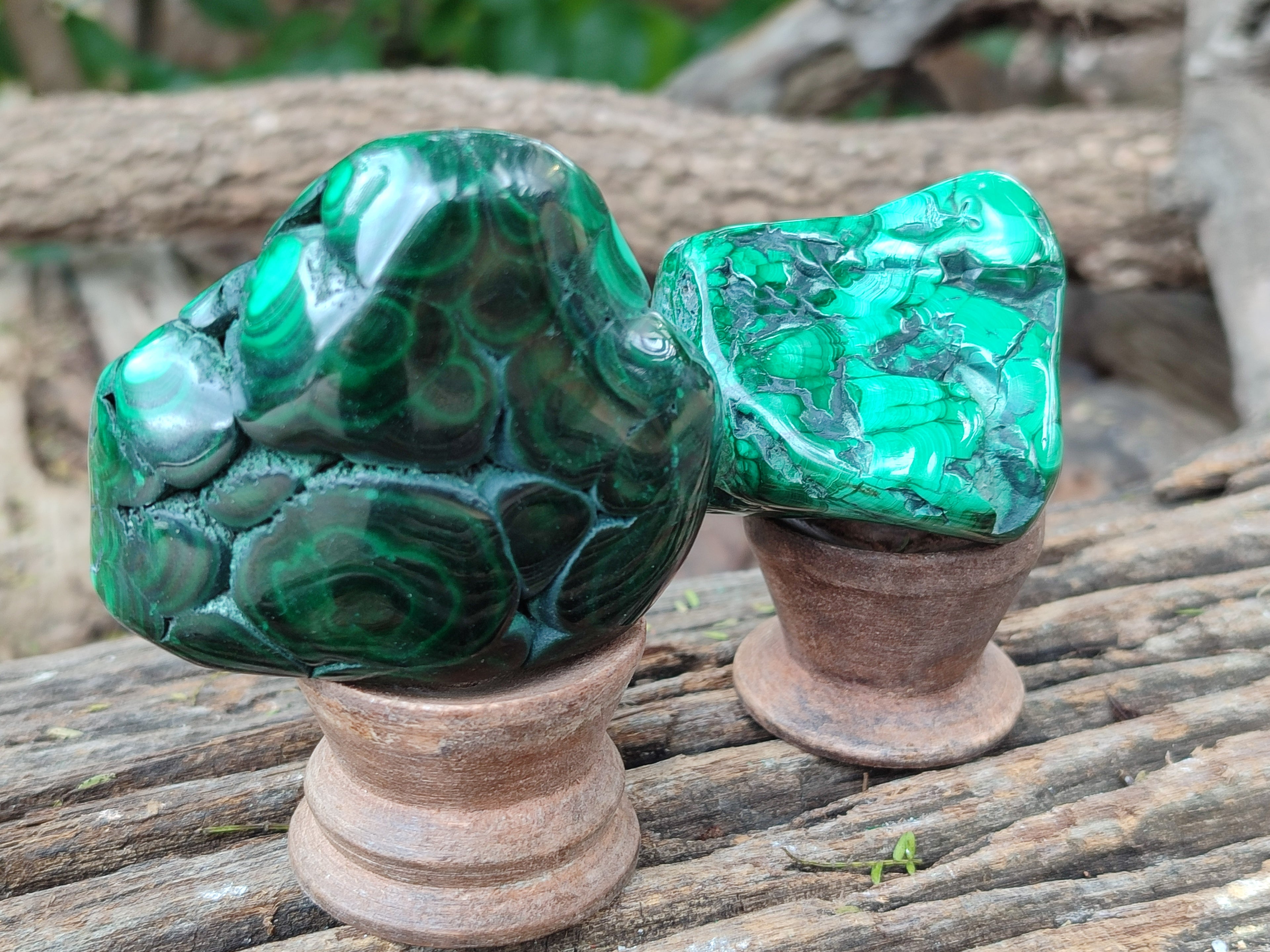 Polished Flower Banded Malachite Free Forms x 6 From Congo - Toprock Gemstones and Minerals 
