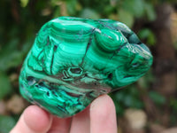 Polished Flower Banded Malachite Free Forms x 6 From Congo