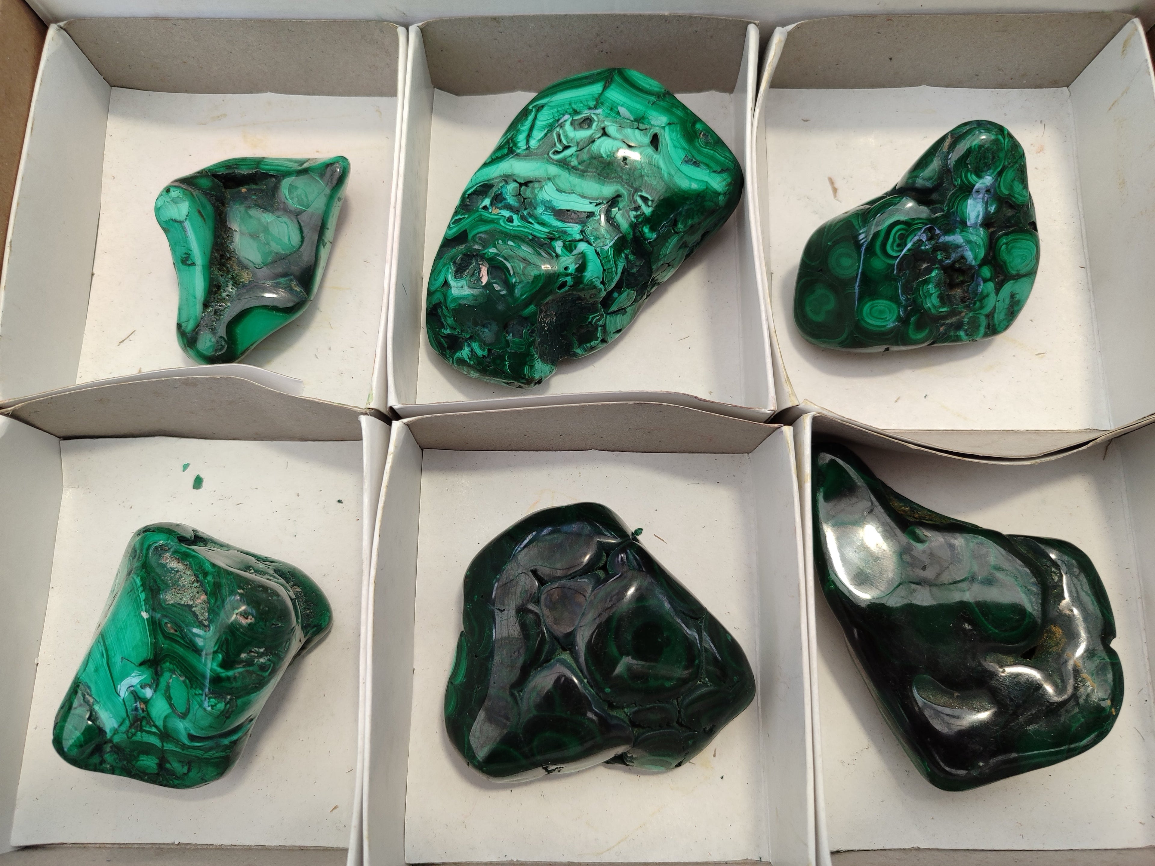 Polished Flower Banded Malachite Free Forms x 6 From Congo - Toprock Gemstones and Minerals 