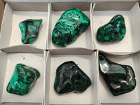 Polished Flower Banded Malachite Free Forms x 6 From Congo