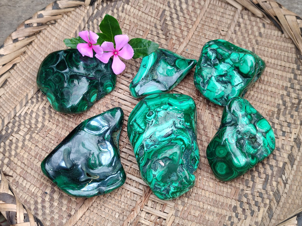 Polished Flower Banded Malachite Free Forms x 6 From Congo - Toprock Gemstones and Minerals 