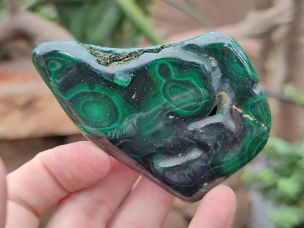 Polished Flower Banded Malachite Free Forms x 6 From Congo - Toprock Gemstones and Minerals 
