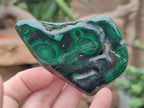 Polished Flower Banded Malachite Free Forms x 6 From Congo - Toprock Gemstones and Minerals 
