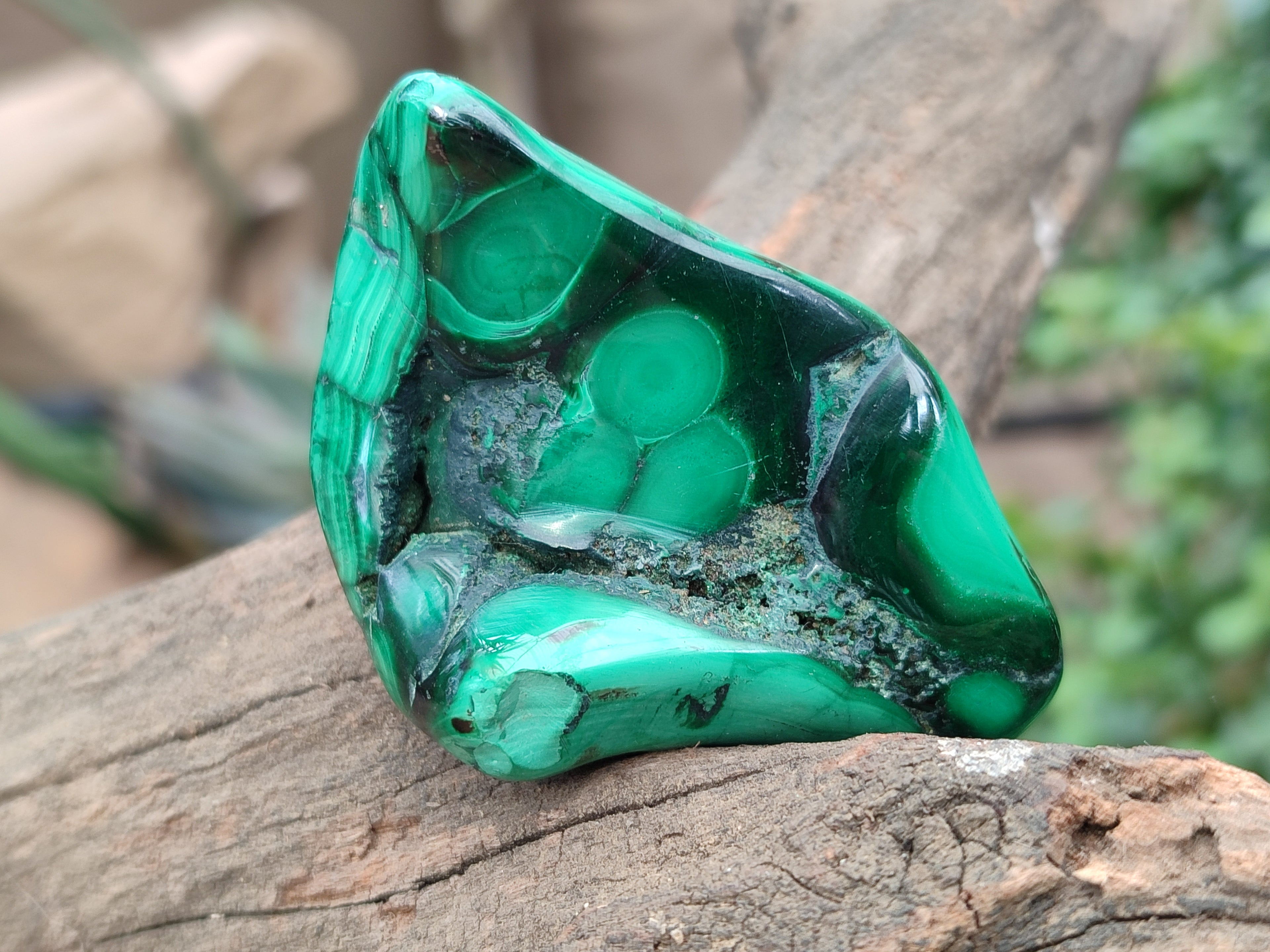 Polished Flower Banded Malachite Free Forms x 6 From Congo - Toprock Gemstones and Minerals 