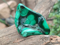 Polished Flower Banded Malachite Free Forms x 6 From Congo