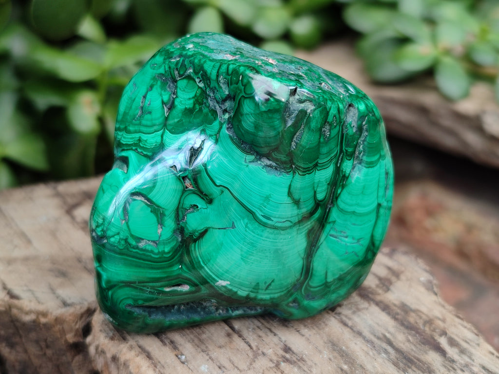 Polished Flower Banded Malachite Free Forms x 6 From Congo - Toprock Gemstones and Minerals 