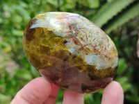 Polished Mix Of Selected Palm Stones x 12 From Madagascar